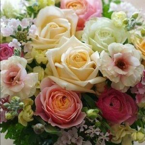 Meet your Posher, Yuvani